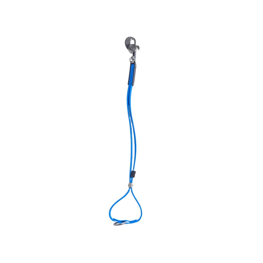 AXL Loop in Blue by Alpha Grooming