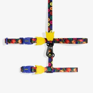 Samba Cat Harness w/ Leash