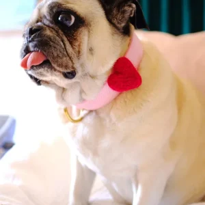 Heart Dog Collar Accessory in Pink (Made in the USA)