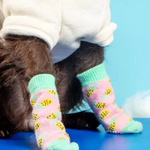 Non-Skid Dog Socks in Pineapple (FINAL SALE)