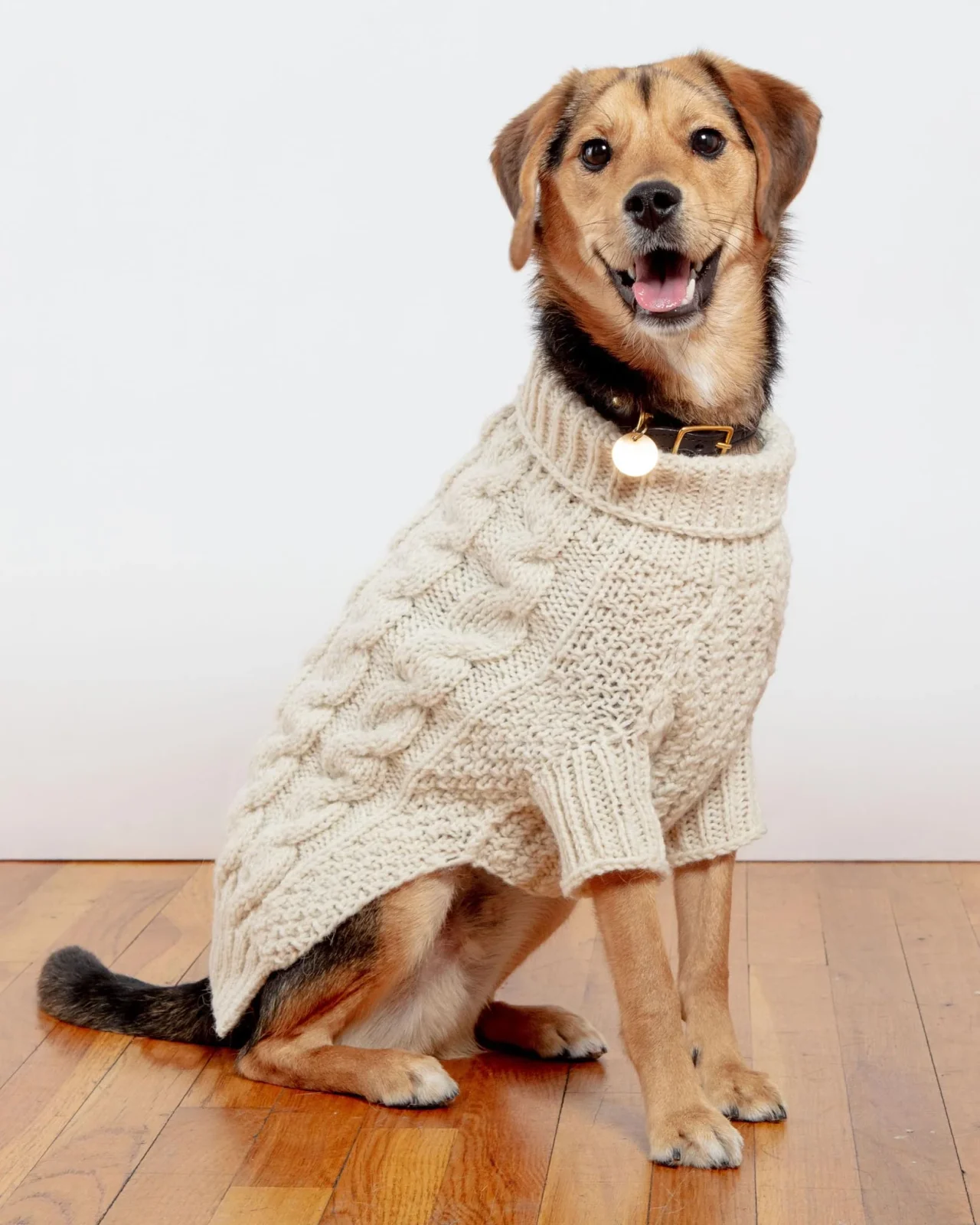Downtown Roll Neck Dog Sweater in Natural (FINAL SALE) - Image 2