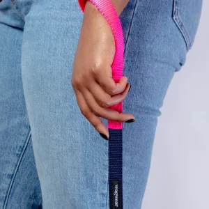 Nylon Dog Leash in Navy & Neon Pink (Made in the USA)