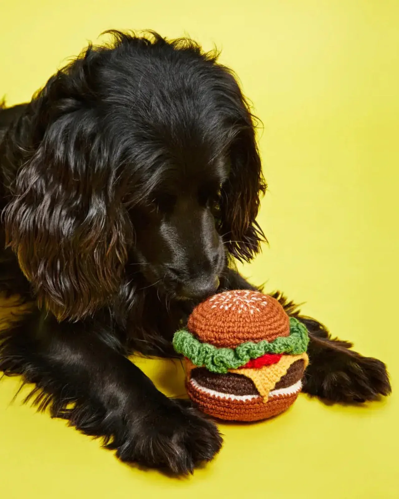 Hand Knit Hamburger Dog Toy - Image 2