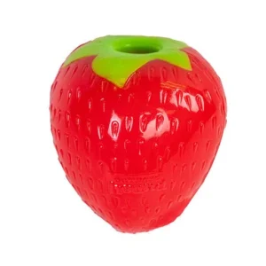 Planet Dog Orbee-Tuff Strawberry Treat-Dispensing Dog Chew Toy