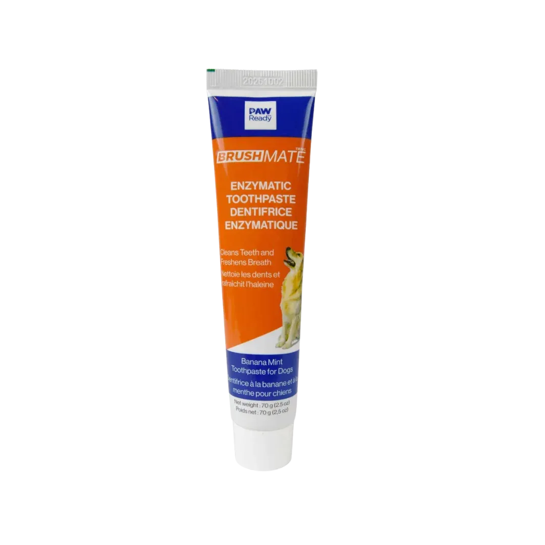 Brushmate Toothpaste Banana Mint 2.5oz by Paw Ready - Image 2