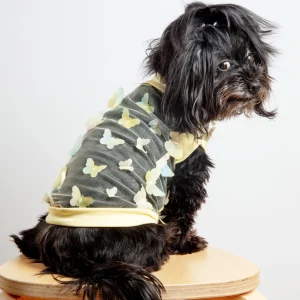 Butterfly Mesh Dog Shirt in Yellow Ombre (Made in the USA) (FINAL SALE)