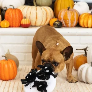 Skull + Spiders Hide-and-Seek Plush Dog Toy