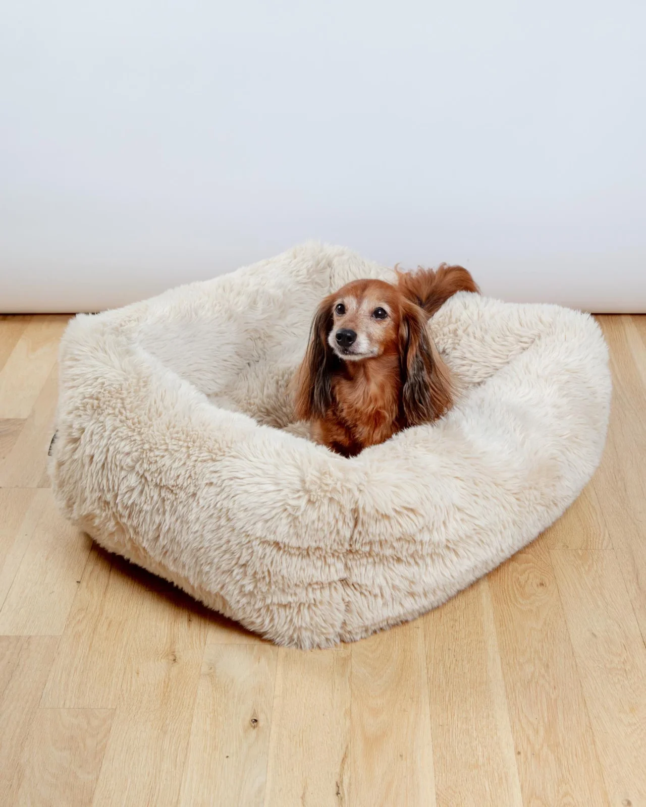 The Franklin Dog Bed in Fluffernutter (Direct-Ship) - Image 2