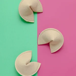 Kitty Fortune Cookie Catnip Toy