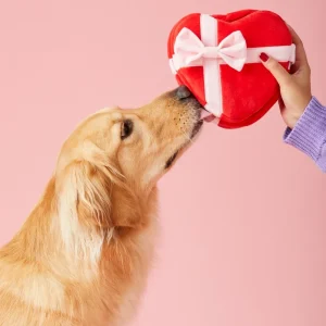 Be My Valentine Interactive Snuffle Dog Toy