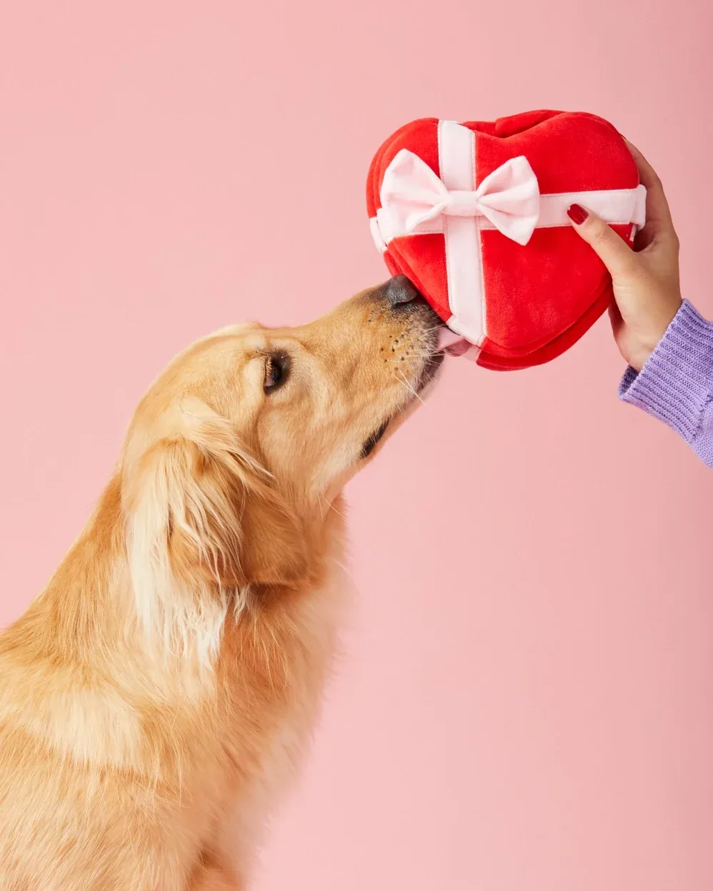 Be My Valentine Interactive Snuffle Dog Toy