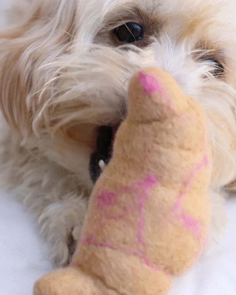 Wool Croissant Dog Toy - Image 2