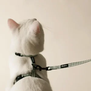 Green Plaid Matching Cat Harness & Leash Set