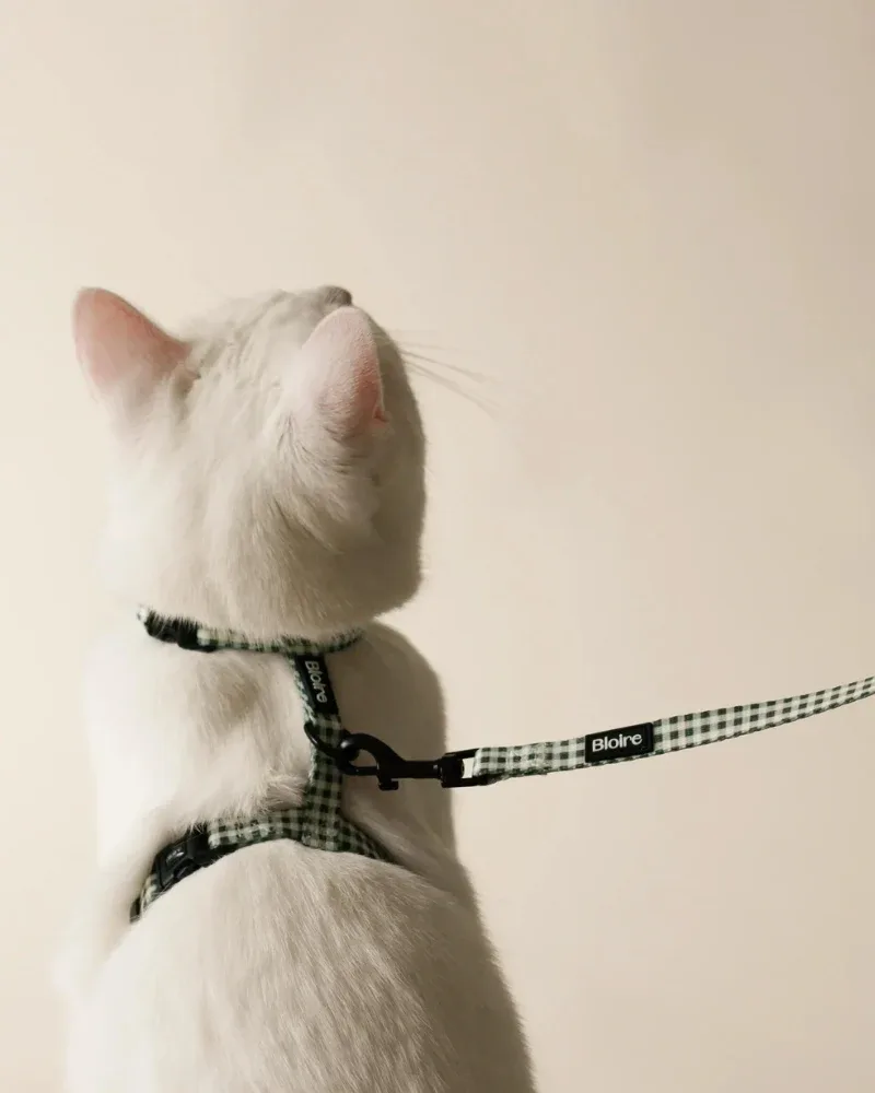 Green Plaid Matching Cat Harness & Leash Set