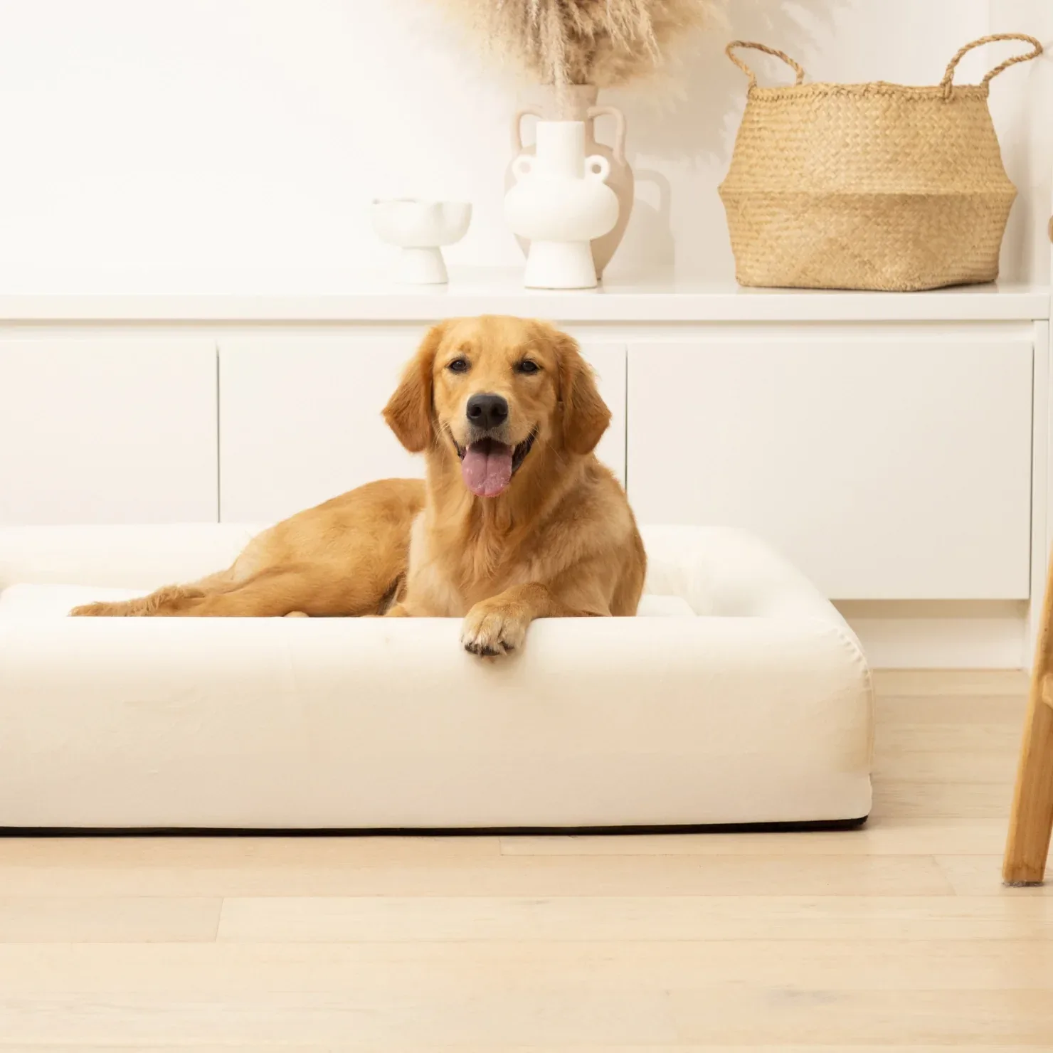 Premium Orthopedic Memory Foam Dog Bed - Beige - Image 2