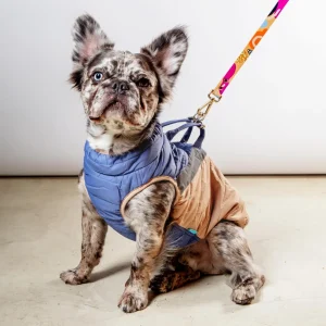 Mountaineer Waterproof Dog Harness Jacket in Tan & Moonstone Blue (FINAL SALE)