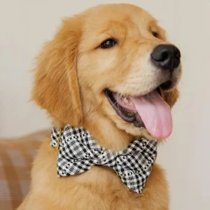 HTH x TFD Soho Dog Bow Tie (Made in the USA) (FINAL SALE)