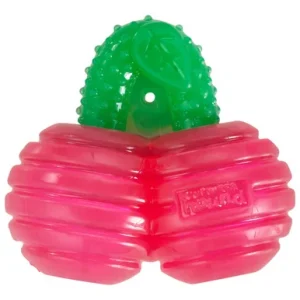 Gummiez Cherries - The Companion Brands Company LLC dba Outward Hound