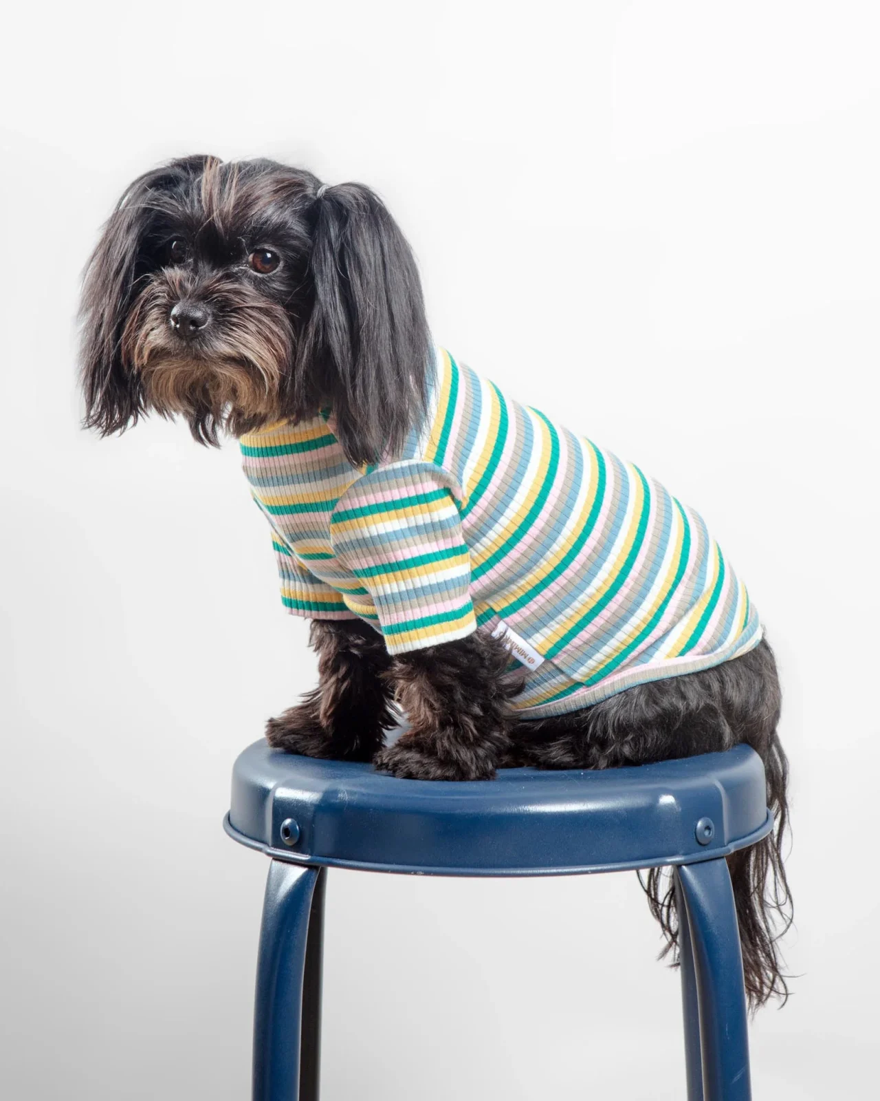 Stripe Ribbed Dog Turtleneck Sweater (FINAL SALE) - Image 2