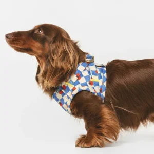 Pomodoro Check Dog Harness (Made in Spain)