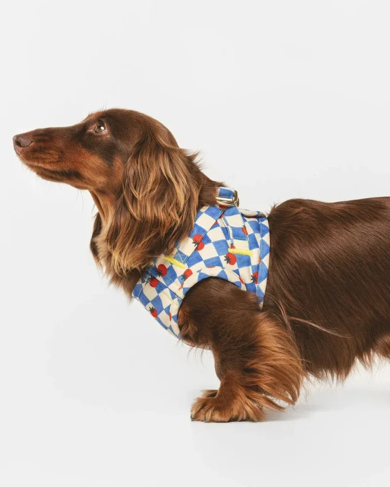 Pomodoro Check Dog Harness (Made in Spain)