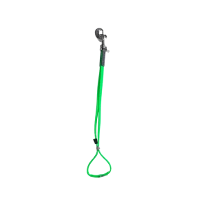 AXL Loop in Lime by Alpha Grooming