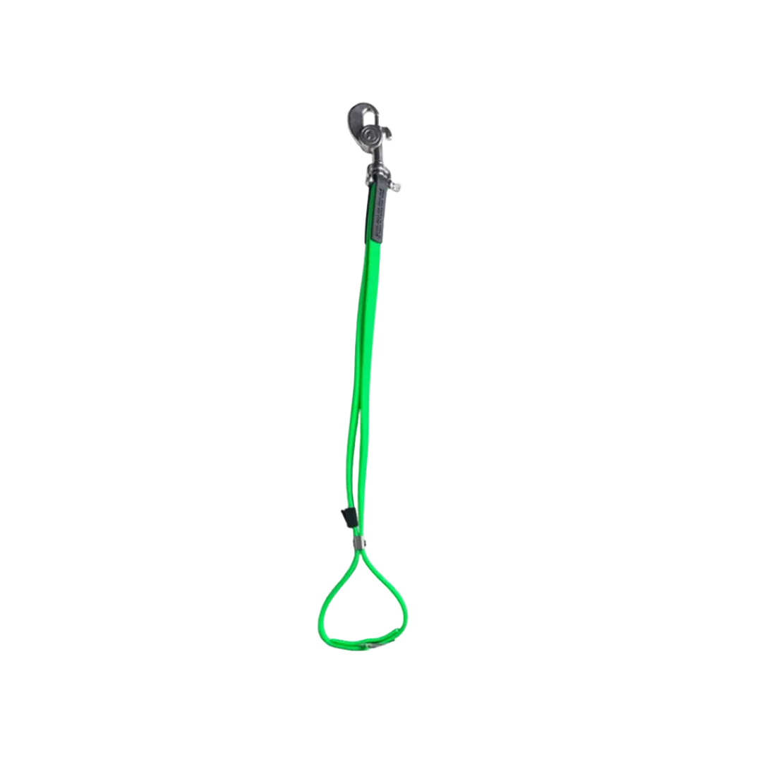 AXL Loop in Lime by Alpha Grooming