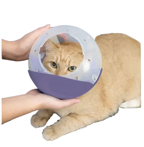 Cat and Flat Face Dog Air Muzzle