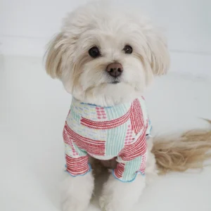 Spring Lettuce Dog T-Shirt