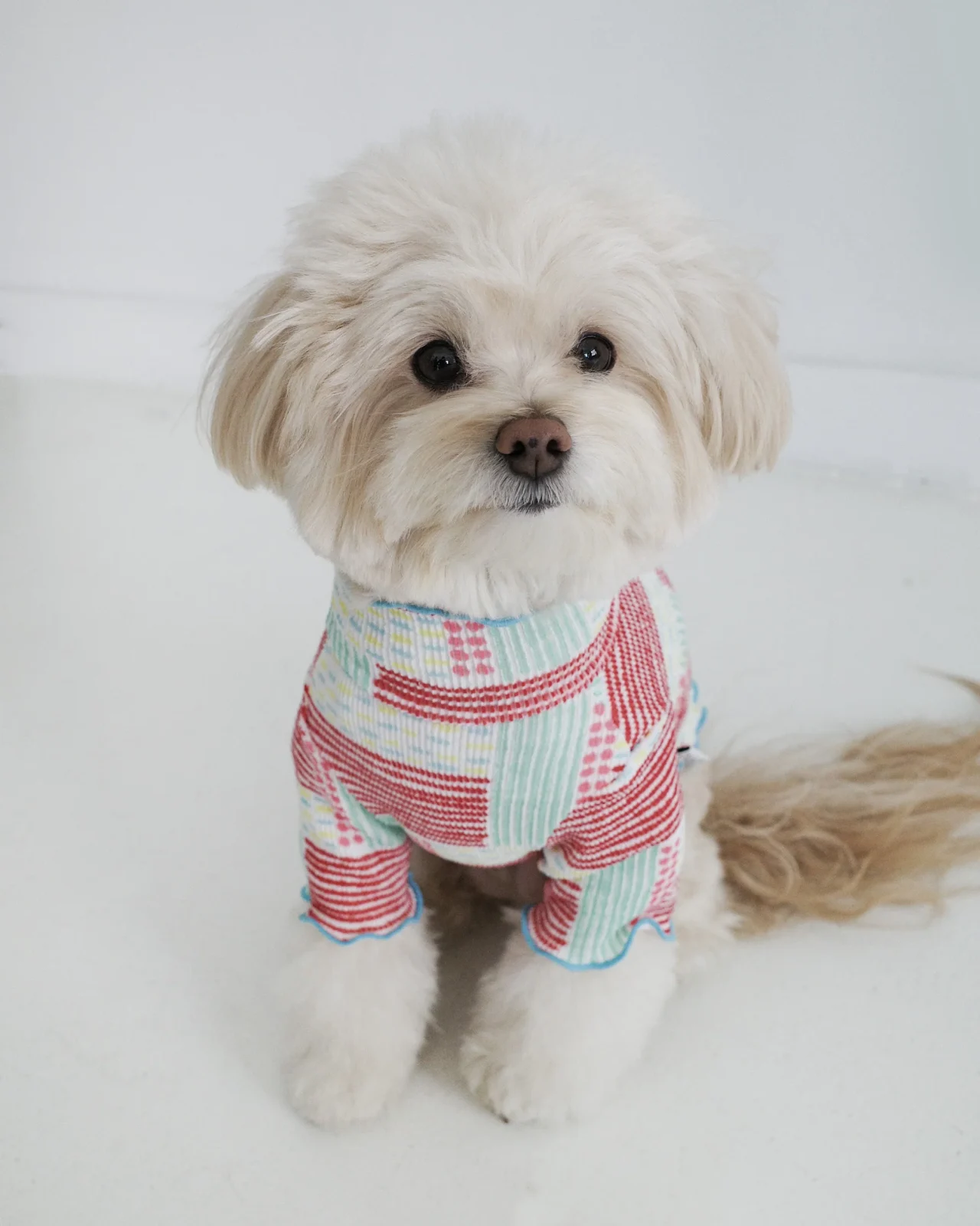 Spring Lettuce Dog T-Shirt