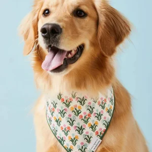 Rifle Paper Co. X TFD Tulips Dog Bandana (Made in the USA) (FINAL SALE)