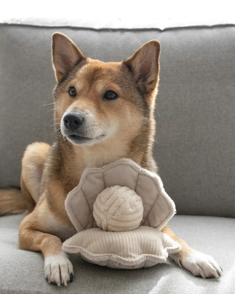 Oyster Pop Squeaker Interactive Dog Toy (FINAL SALE) - Image 2