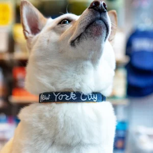 Hand Embroidered "New York City" Dog Collar in Dark Denim (Made in the USA)