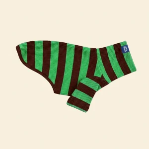 Earth Ribbed Dog Shirt in Green & Brown