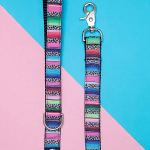 Rainbow Serape + Leopard Dog Leash (Made in NYC)