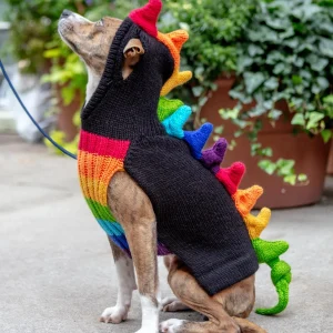 Rainbow Dragon Handknit Dog Sweater w/ Hood