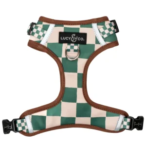 You're a Square No-Pull Harness