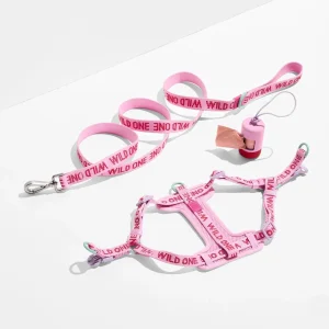 Step-In Harness + Lightweight Leash Walk Kit