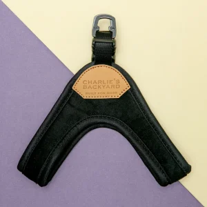 Buckle Up Easy Dog Harness in Black