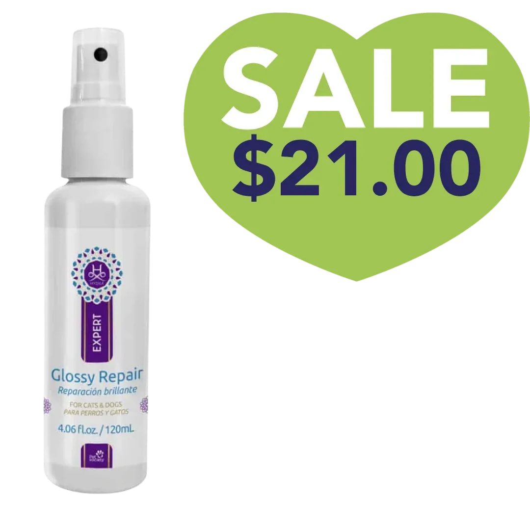 Expert Glossy Repair 4.06oz by Hydra