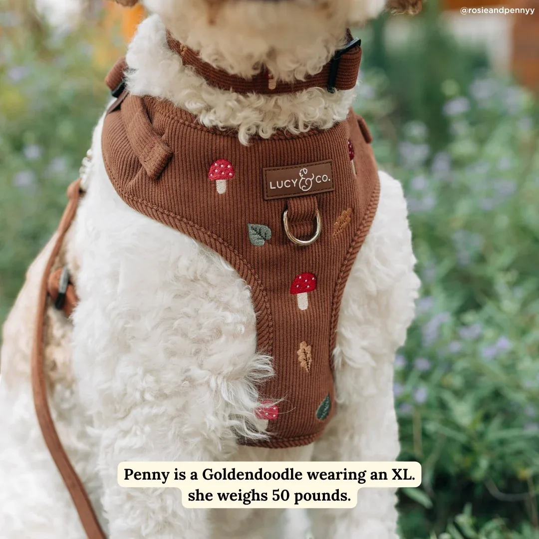 Woodland Wonder Corduroy No-Pull Harness - Image 2