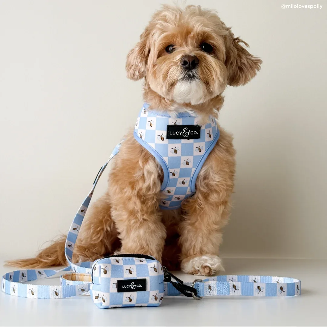 Bumbling Around Leash - Image 2
