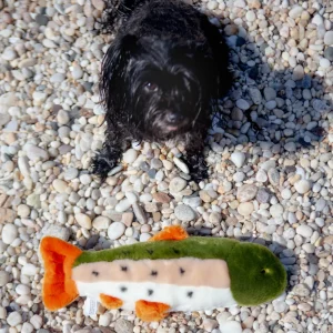 Ruby the Rainbow Trout Plush Dog Toy