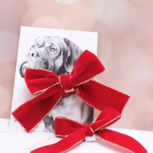 Holiday Velvet Ribbon Dog Bow (Made in the USA)