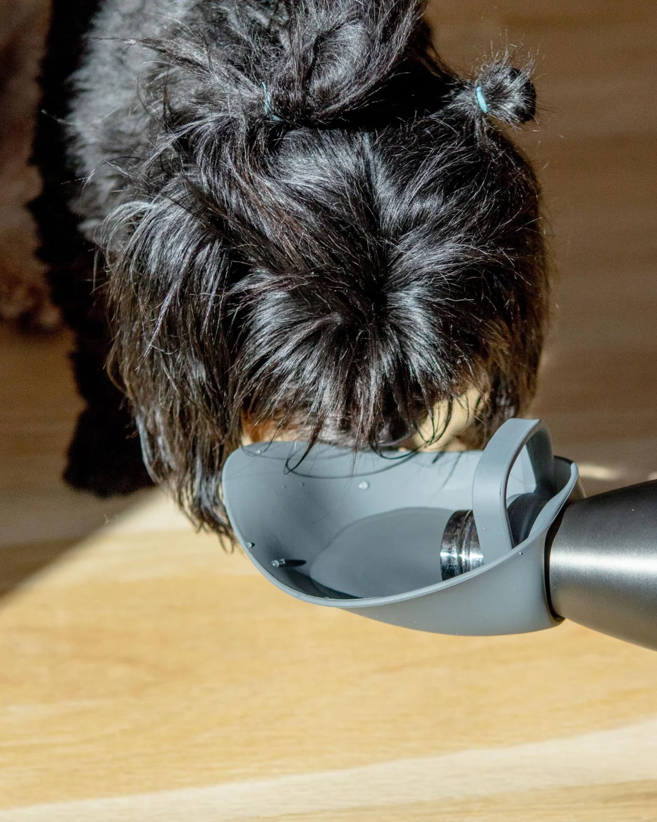 Travel Dog Bowl Bottle Attachment in Grey - Image 2