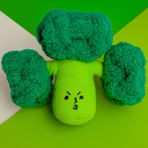 Broccoli Nosework Dog Toy