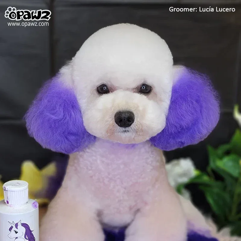 Permanent Dog Hair Dye Chic Violet 8oz by Opawz - Image 2