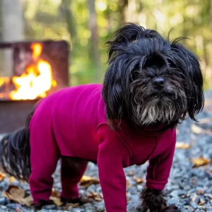 Stretch Fleece Onesie with Shawl Collar in Garnet (Made in the USA, DOG & CO. + GOLD PAW Exclusive!) (FINAL SALE)