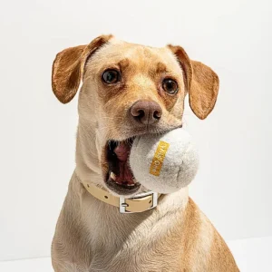 Tennis Balls in White (4-Pack)
