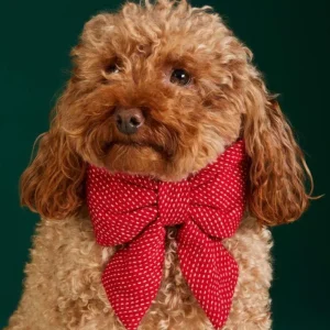 Berry Stitch Dog Lady Bow (Made in the USA)